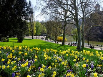 Jardin-paris.jpg