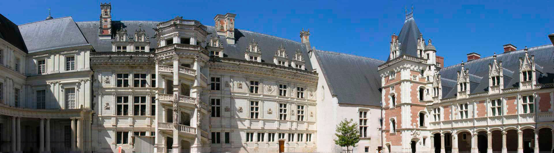 VISITA GUIADA DEL CASTILLO DE BLOIS