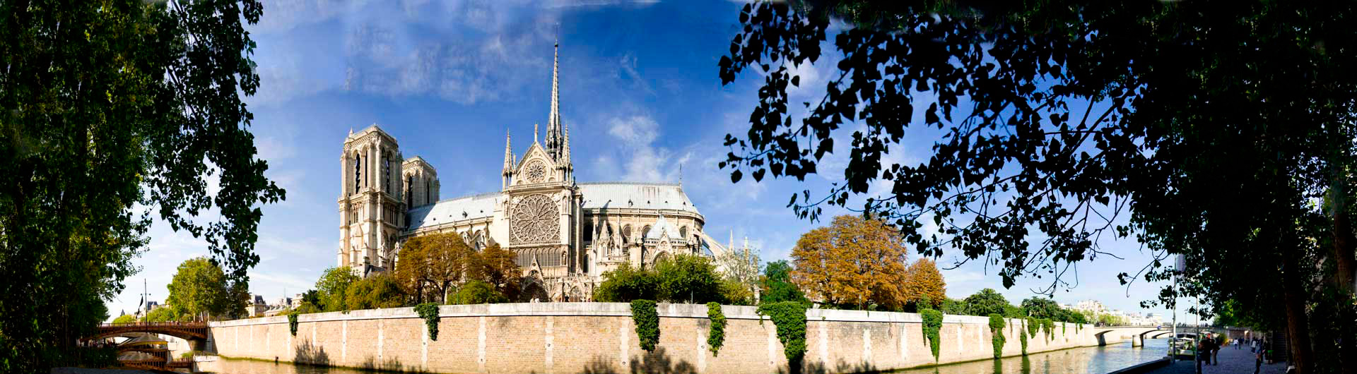 Notre Dame vue des quais de seine